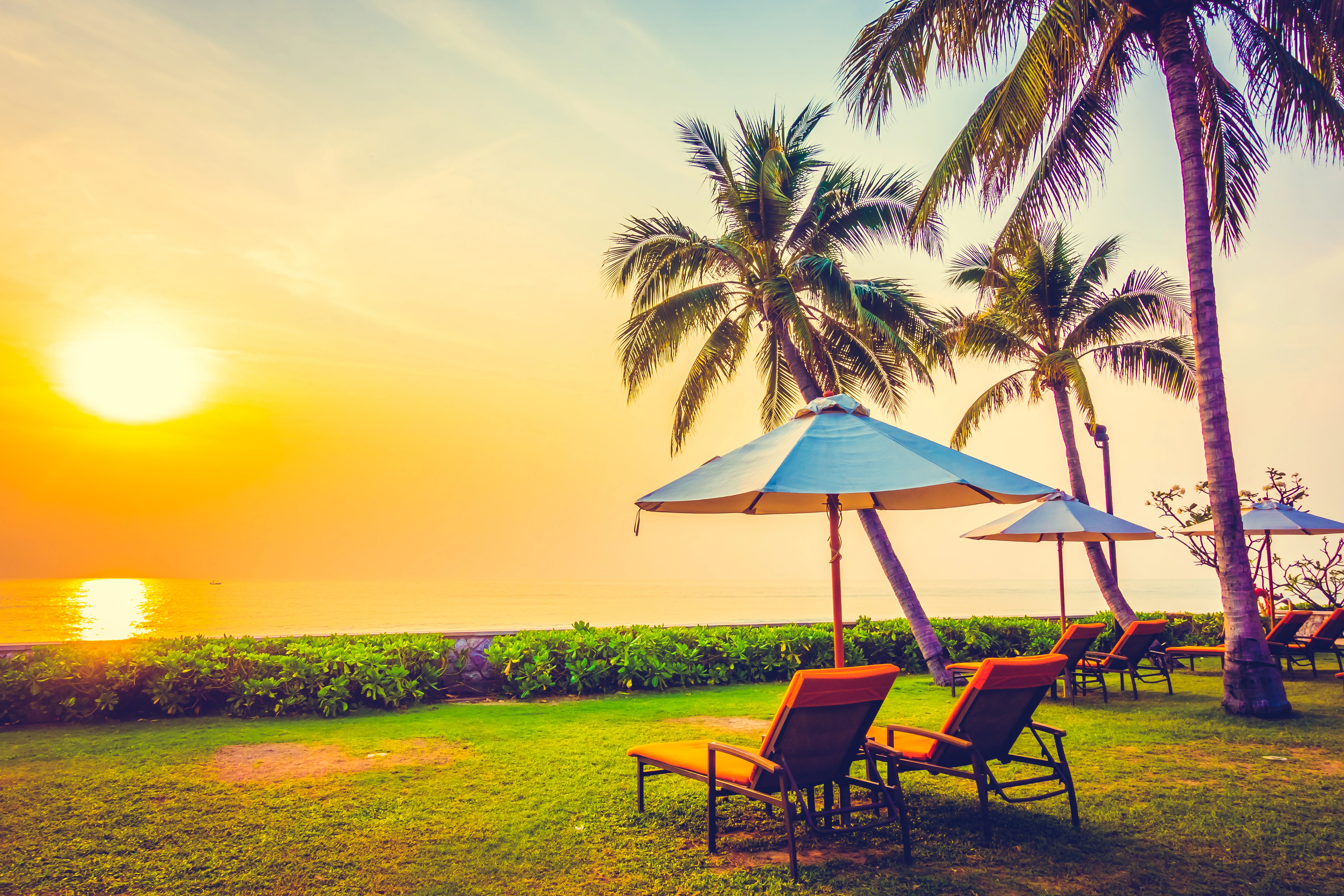 Goa