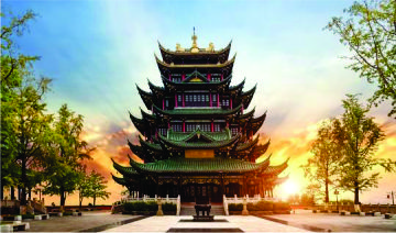 International packages